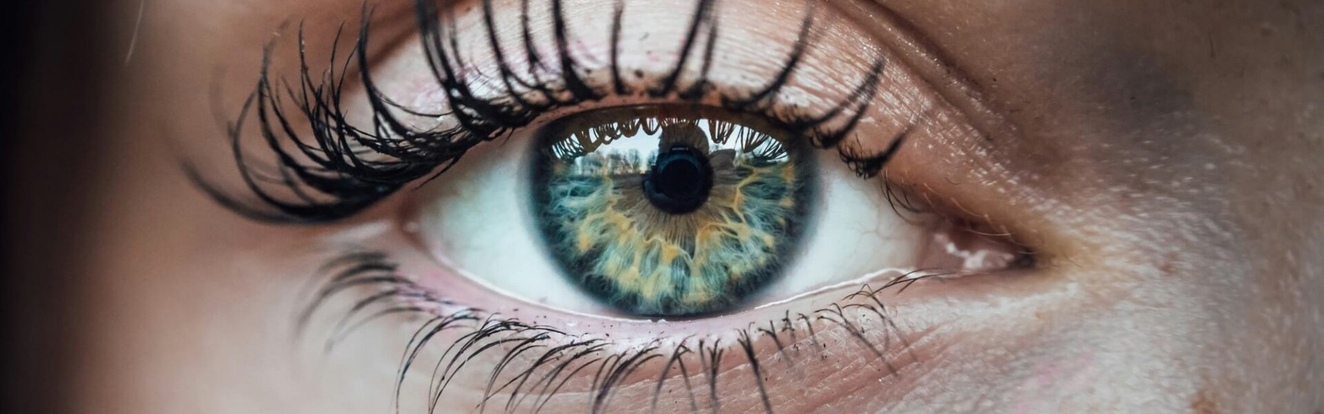 Nahaufnahme eines Auges